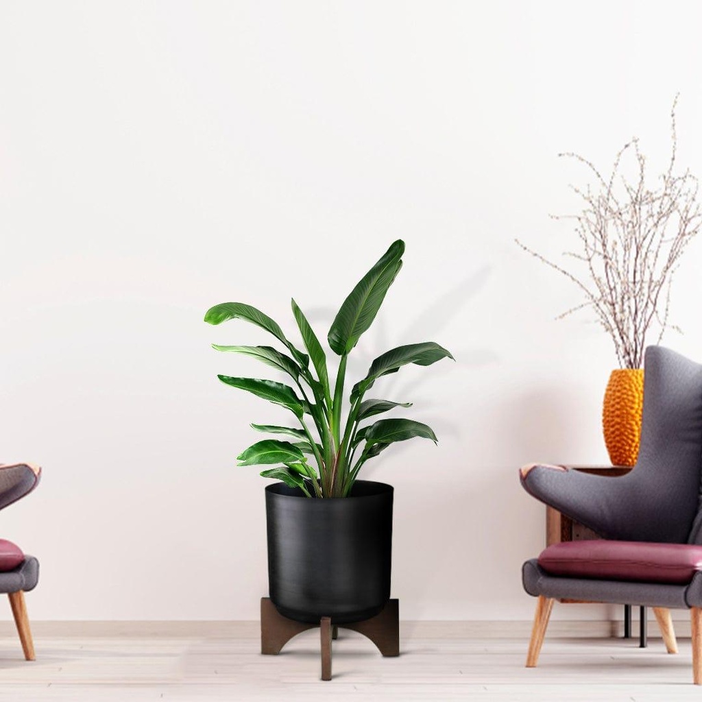 [T3329] Lyrical Planter with Wooden Stand