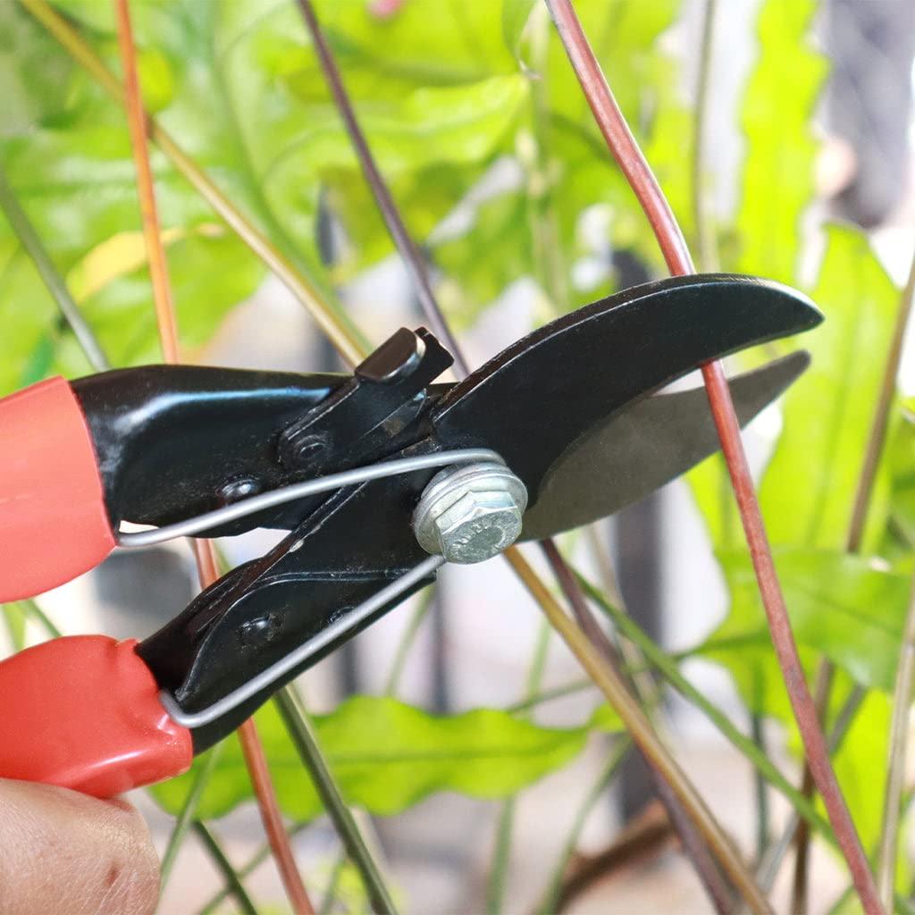 [T3317] TrustBasket Double cut garden secateurs