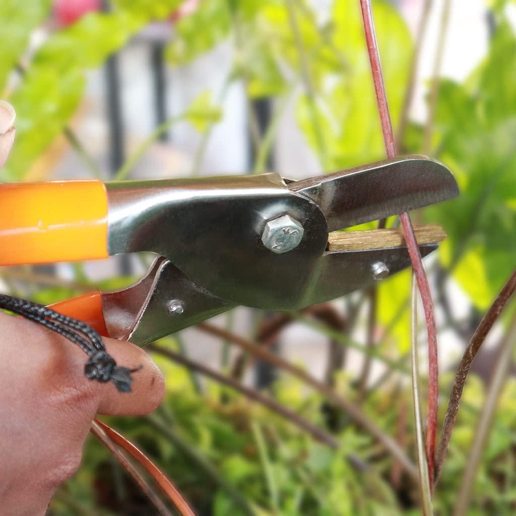 [T3316] TrustBasket Royal cut crum finish garden secateurs