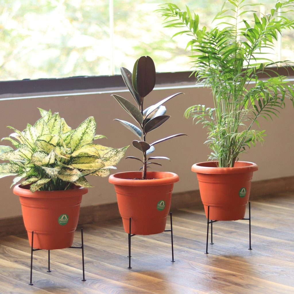[T3221] Rory Stand Suitable for 8 inch Pots (Set of 6)
