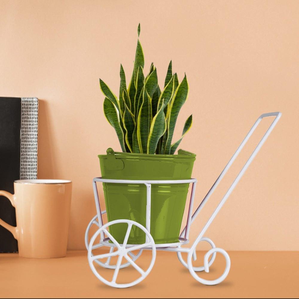 [T3226] Metal Trolley with assorted color bucket planter