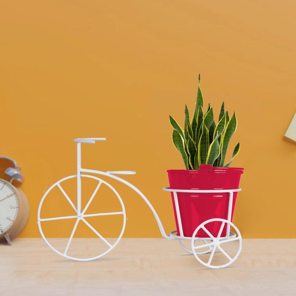 [T3225] Metal Bicycle with Assorted color Bucket Planter