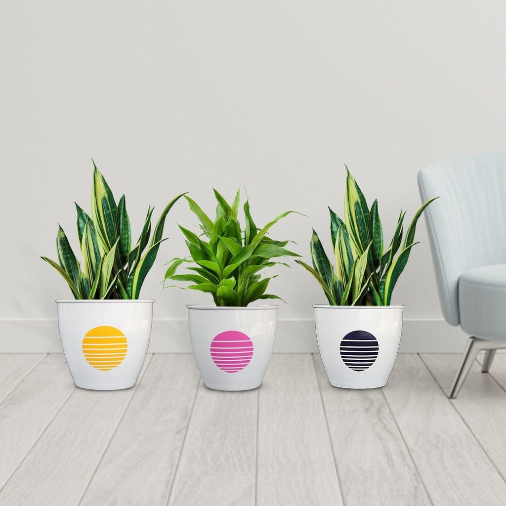 [T3189] TrustBasket Fioni Planter (Set of 3)