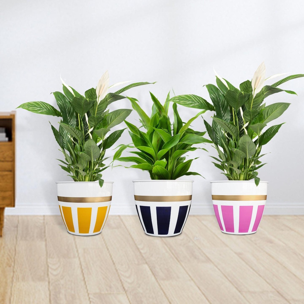 [T3188] Trustbasket Galaxy Planter (Set of 3)