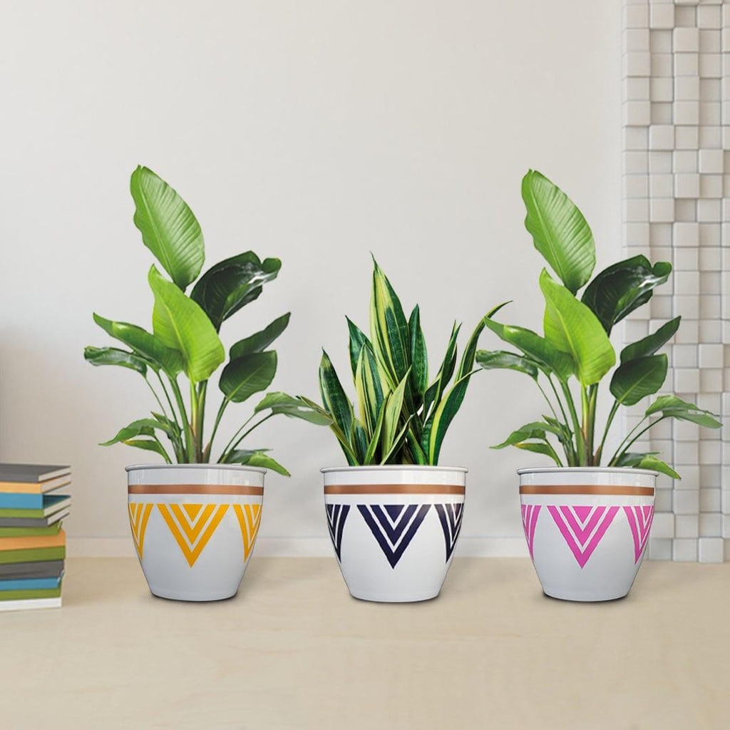 [T3187] Trustbasket Armour Planters (Set of 3)