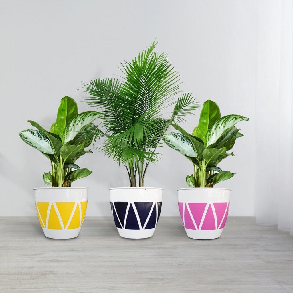 [T3186] TrustBasket Ciara Planter (Set of 3)