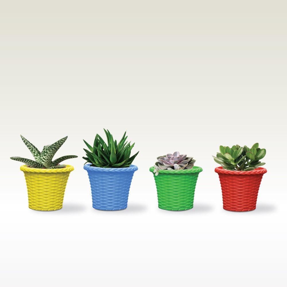 [T1375] Tiny Plastic Planters for Small Plants Like Succulents & Lucky Bamboo (Set Of 4)