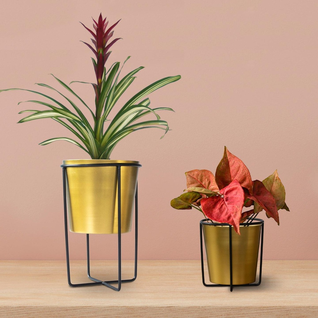 [T2905] Ayana planter - Set of 2