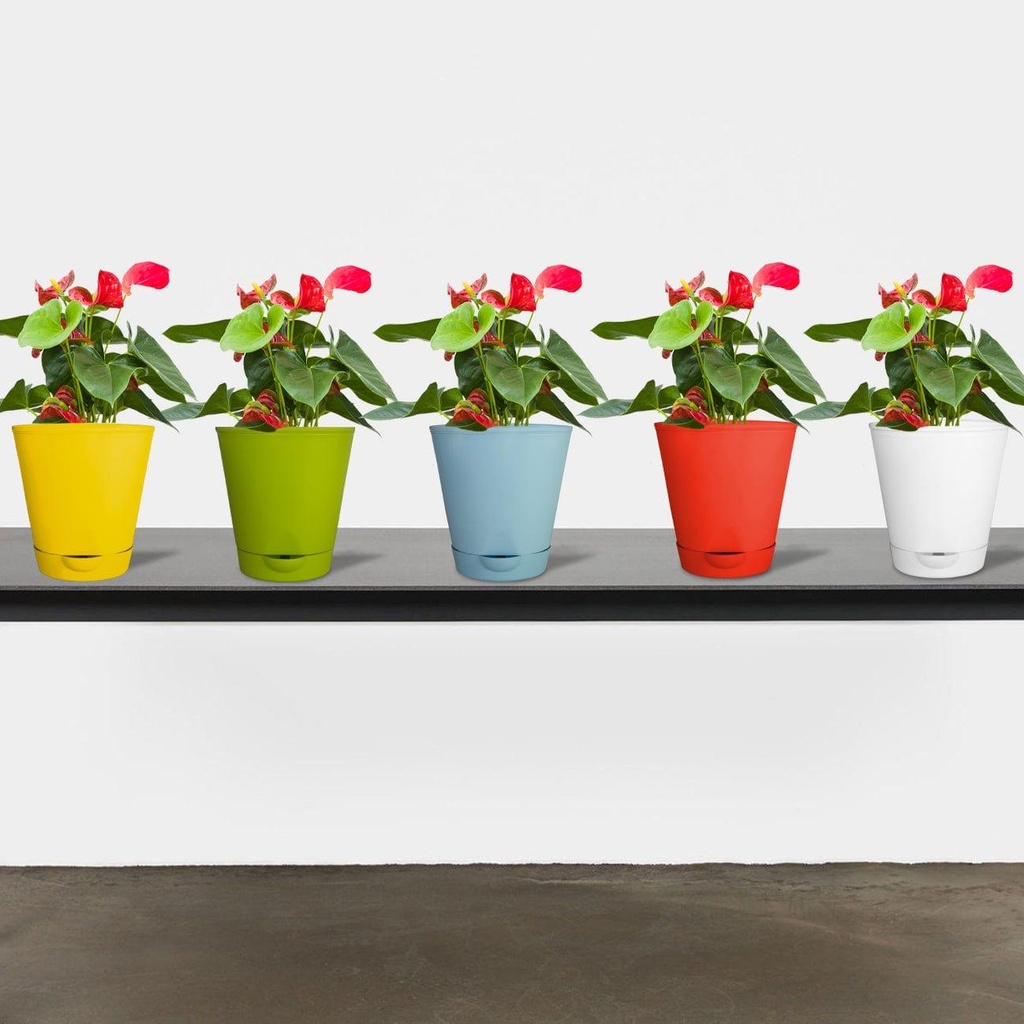 [T3021] Titan Self Watering Pot (Set of 5 - Assorted colors)