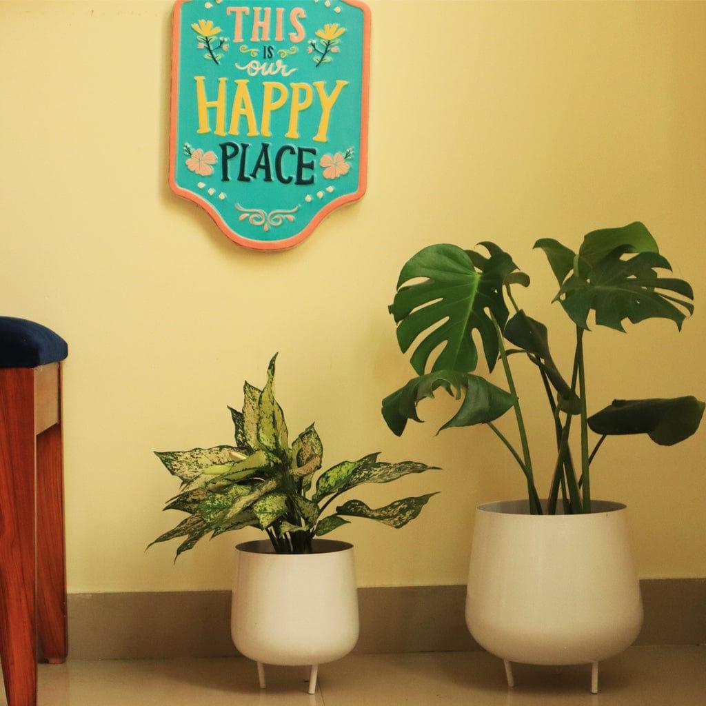[T2848] Jalsa Planter (Set of 2) (White)