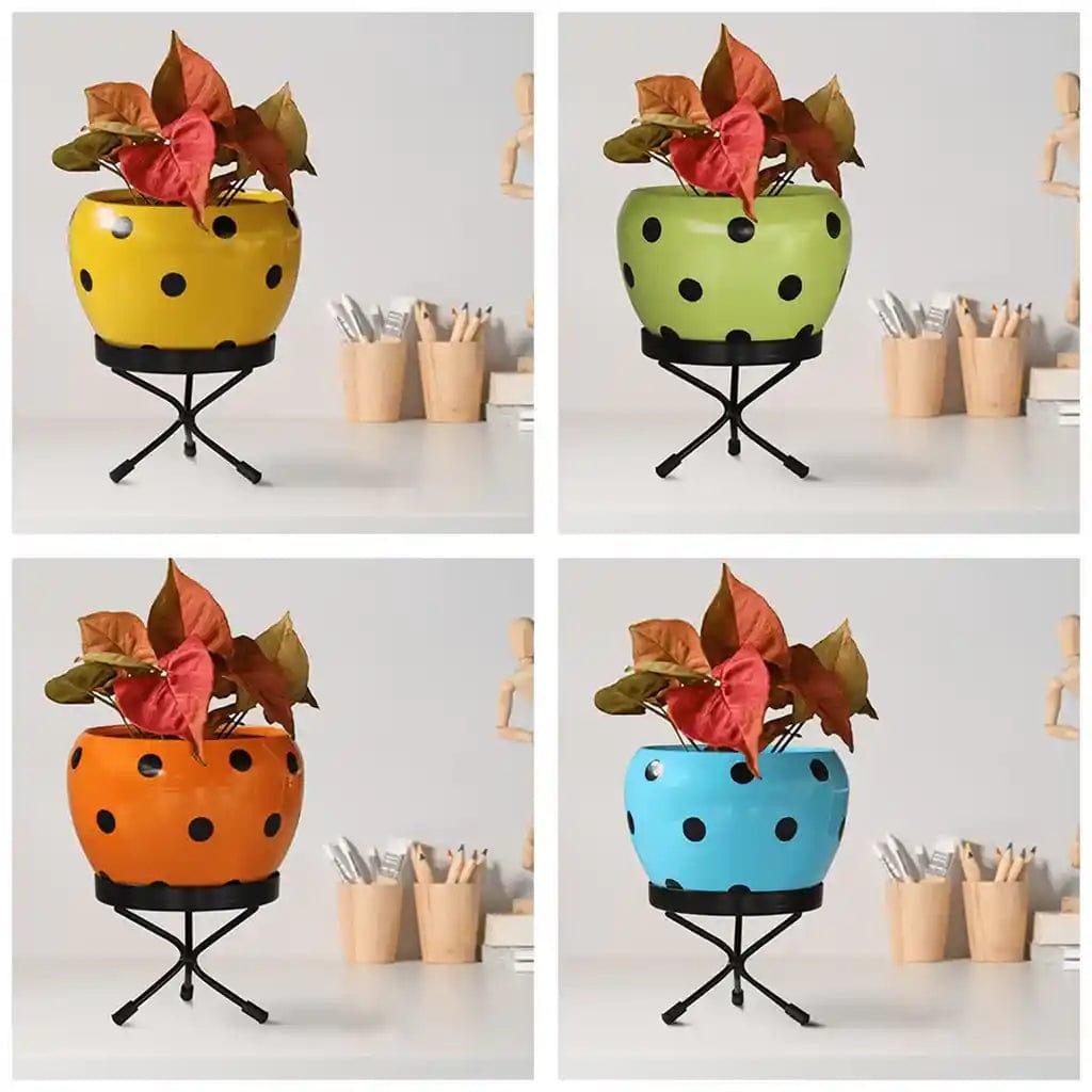 [T3014] Leo Planter (Set of 4)