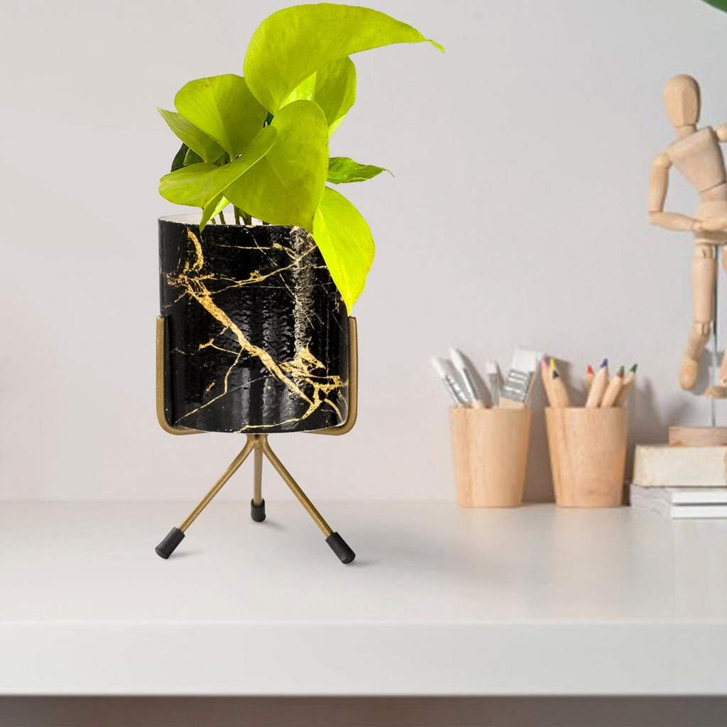 [T3015] Jude Planter