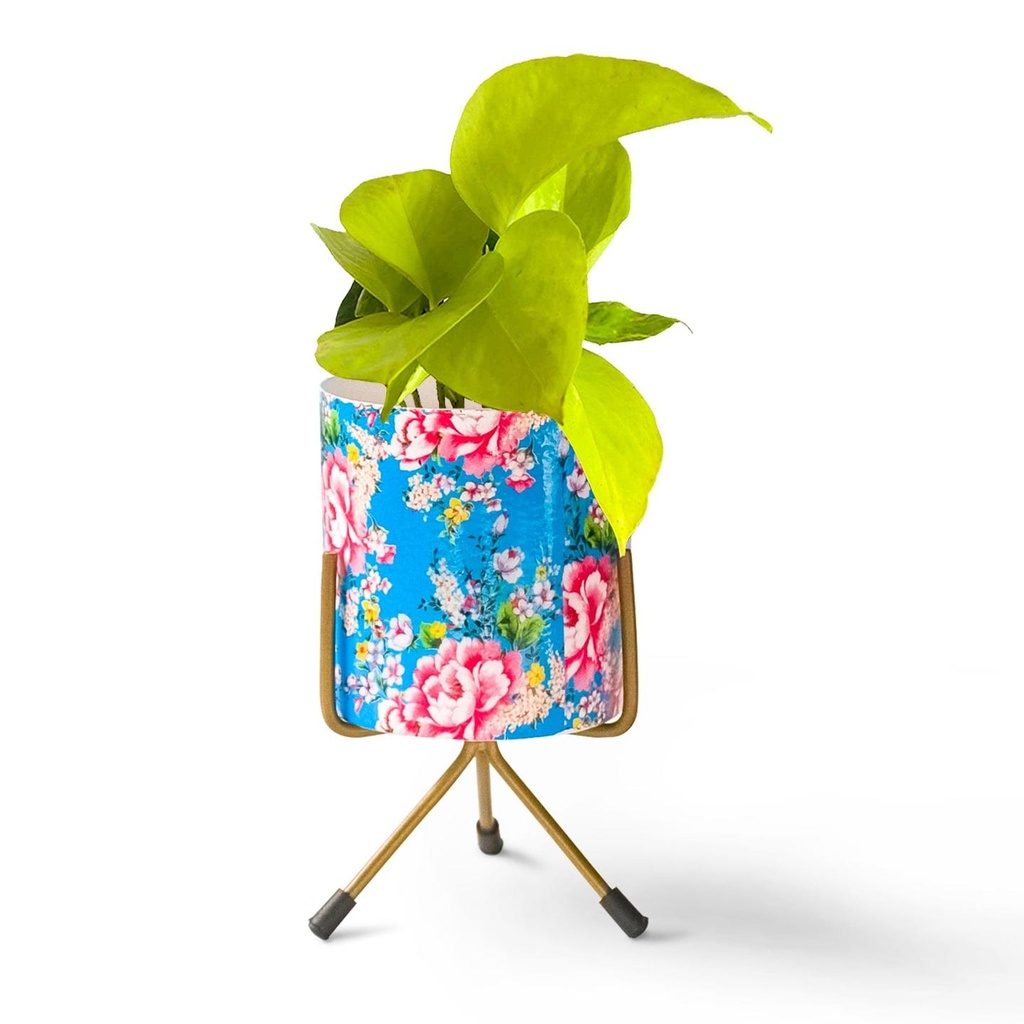 [T3017] Ziva Planter