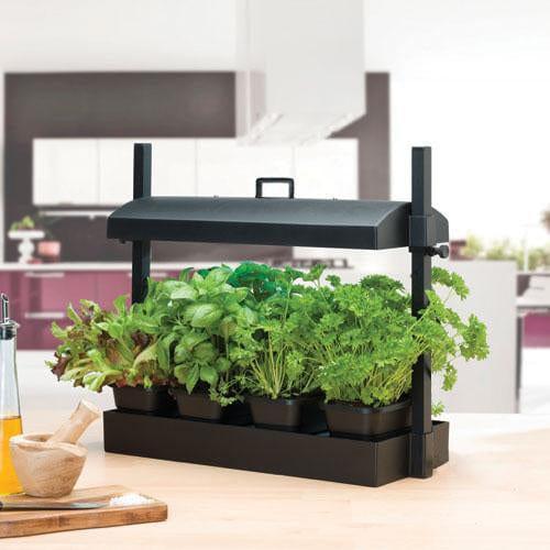 [T2860] TrustBasket Indoor jungle - plant growing system with lights