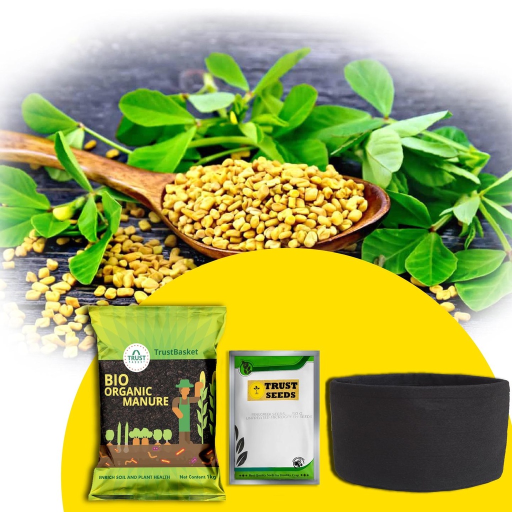 [T3012] TrustBasket Micro greens Kit (Fenugreek)