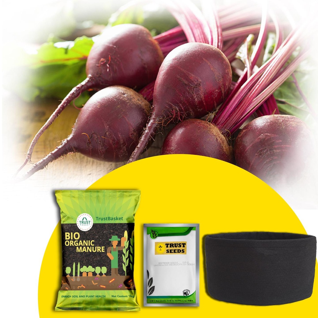 [T3011] TrustBasket Micro greens Kit (Beetroot)