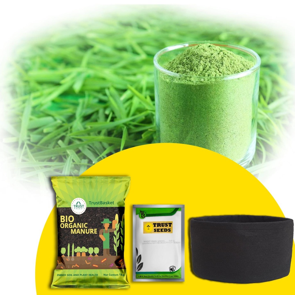 [T3010] TrustBasket Micro greens Kit (Wheat grass)
