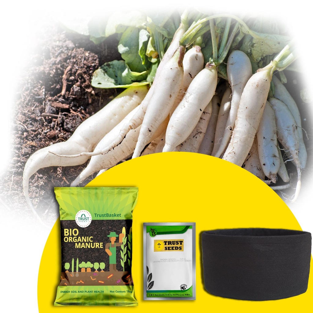 [T3009] TrustBasket Micro greens Kit (Radish)