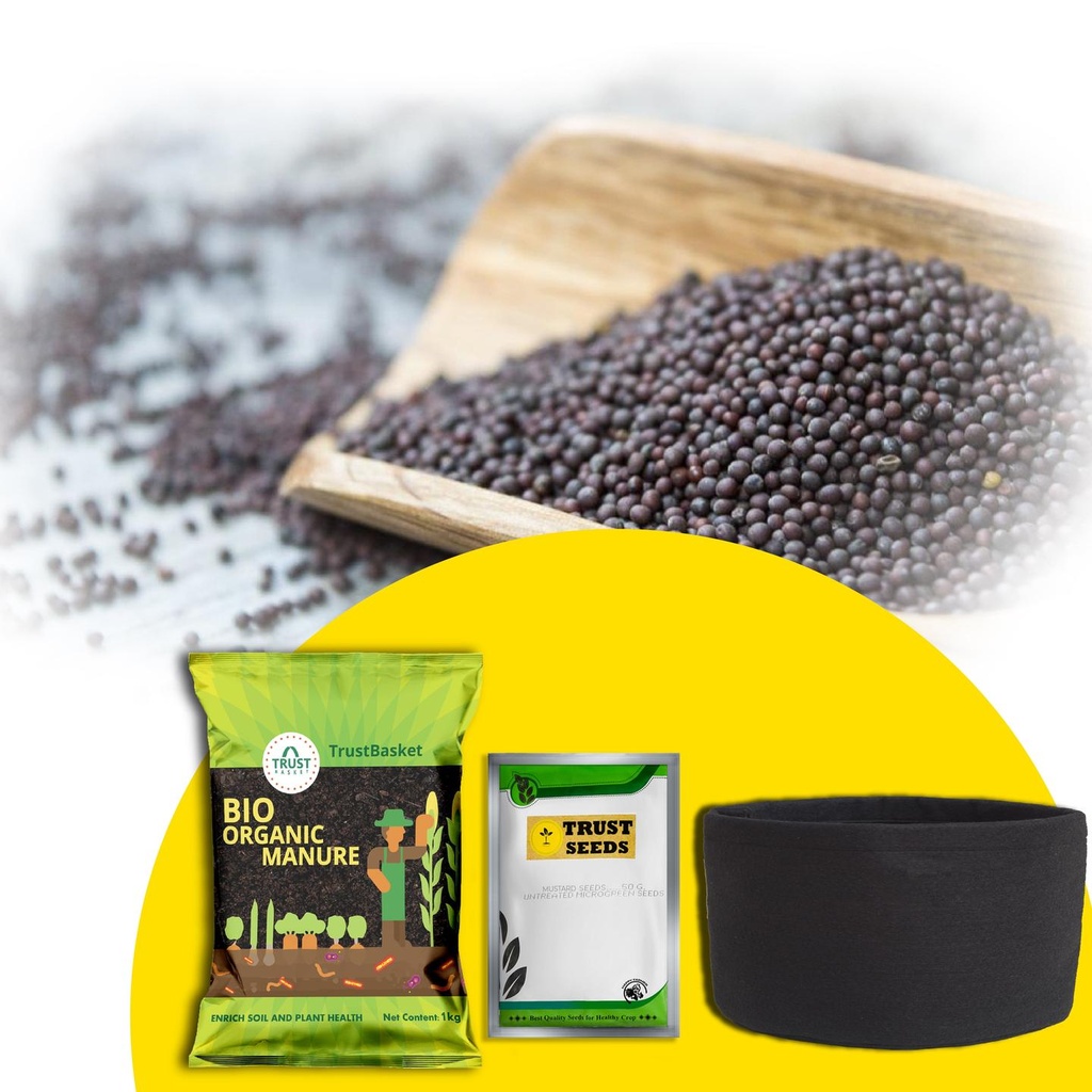 [T3008] TrustBasket Micro greens Kit (Mustard)