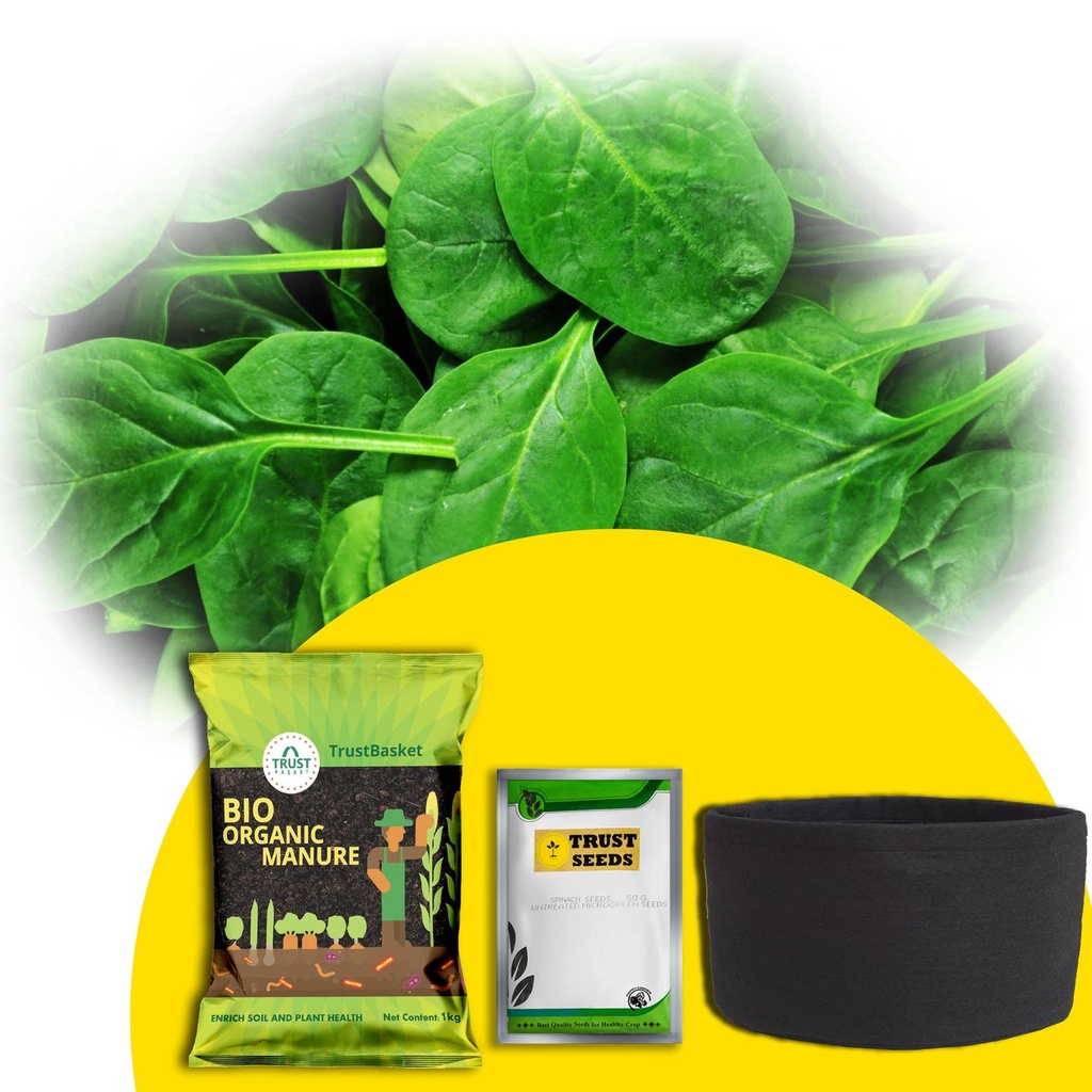 [T3007] TrustBasket Micro greens Kit (Spinach)