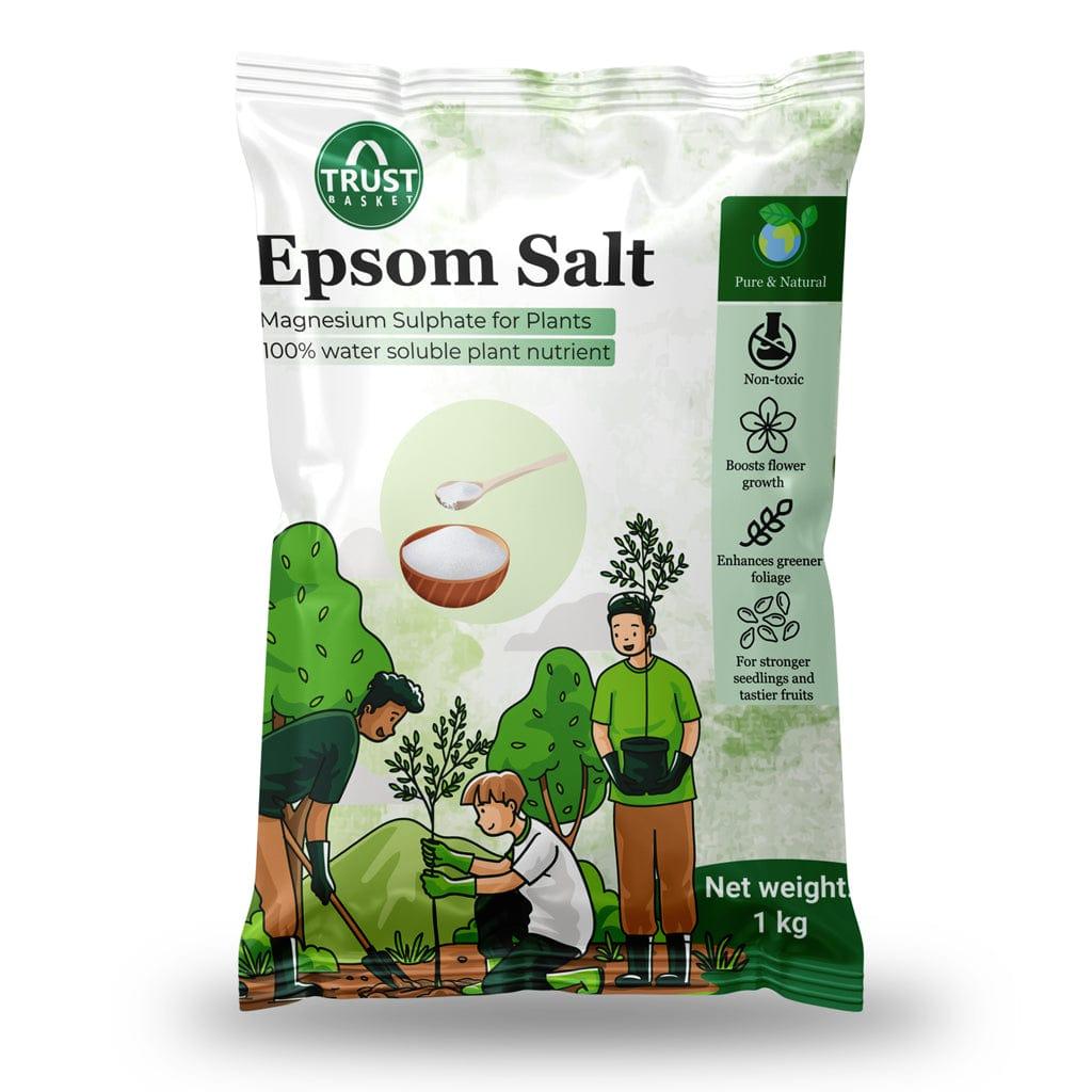 [T2964] Epsom Salt (Set of 1)