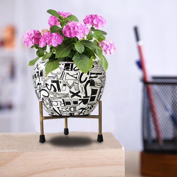 [T2868] Crocus Flower Planter