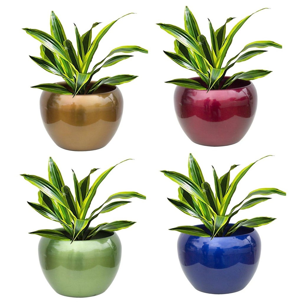[T2835] Sunshine Planters Mixed Colours (Set of 4)