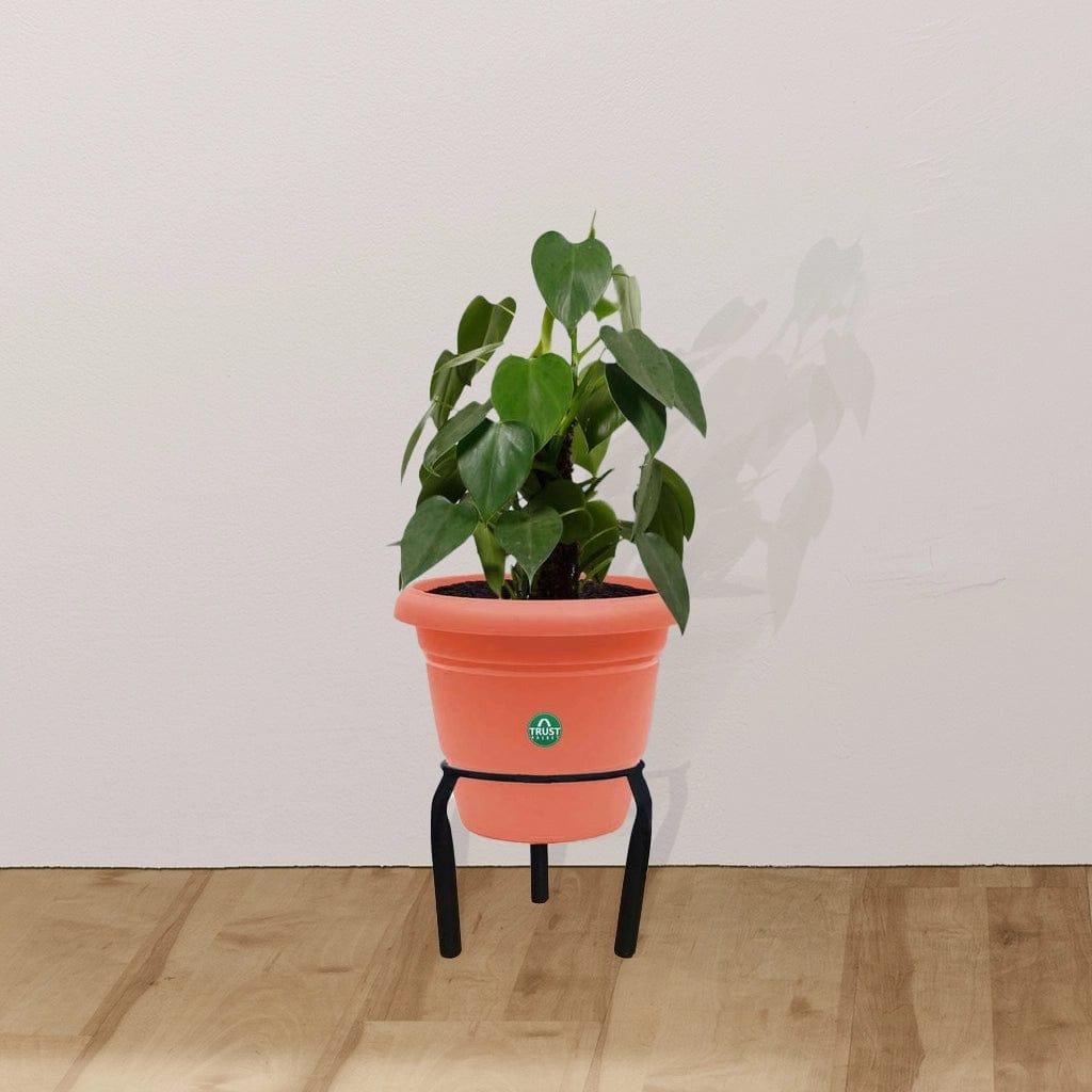 Matka Stand (Set of 5)-Pot stand, indoor outdoor pot stand,planter stand for home garden,balcony