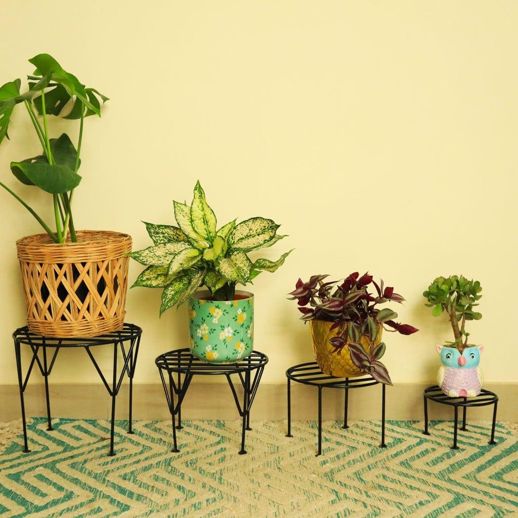 [T2483] Iris Planter Stand for Flower Pot Heavy Duty Potted Stand Indoor Outdoor Metal Rustproof Iron Garden Container(Set of 4)