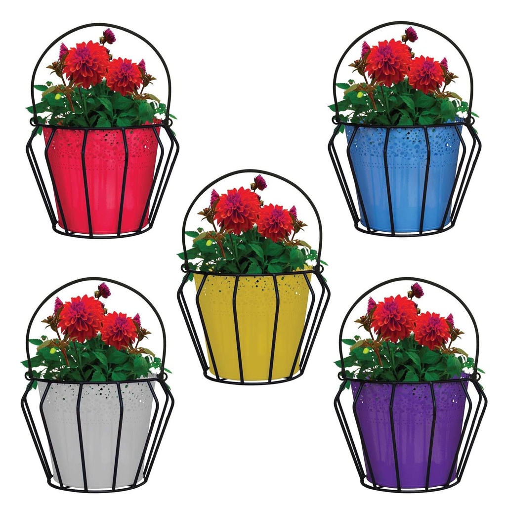 Lupin Flower Hanging Basket with Lace Planter (Set of 5) -Plant Containers Basket, Home Gardening, Office Use Indoor/Outdoor and Balcony Decoration