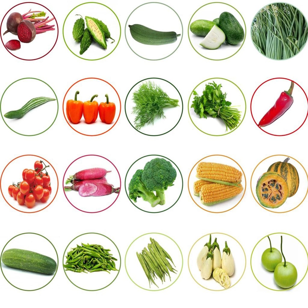 [T2475] TrustBasket Hybrid Vegetable  Seeds  - Set  of 20 (Combo 1)