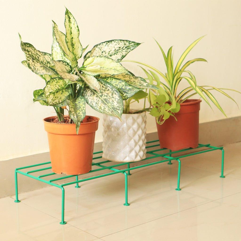 [T3517] Indigo Planter Stand for Plants (Green, Set of 1)