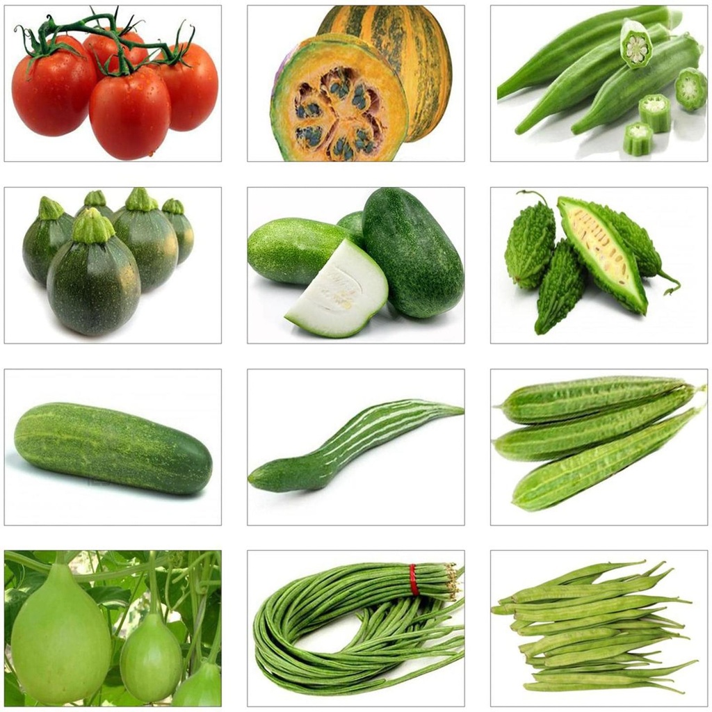 [T2076] Summer Vegetable Seeds Kit (Set of 12 Packets)