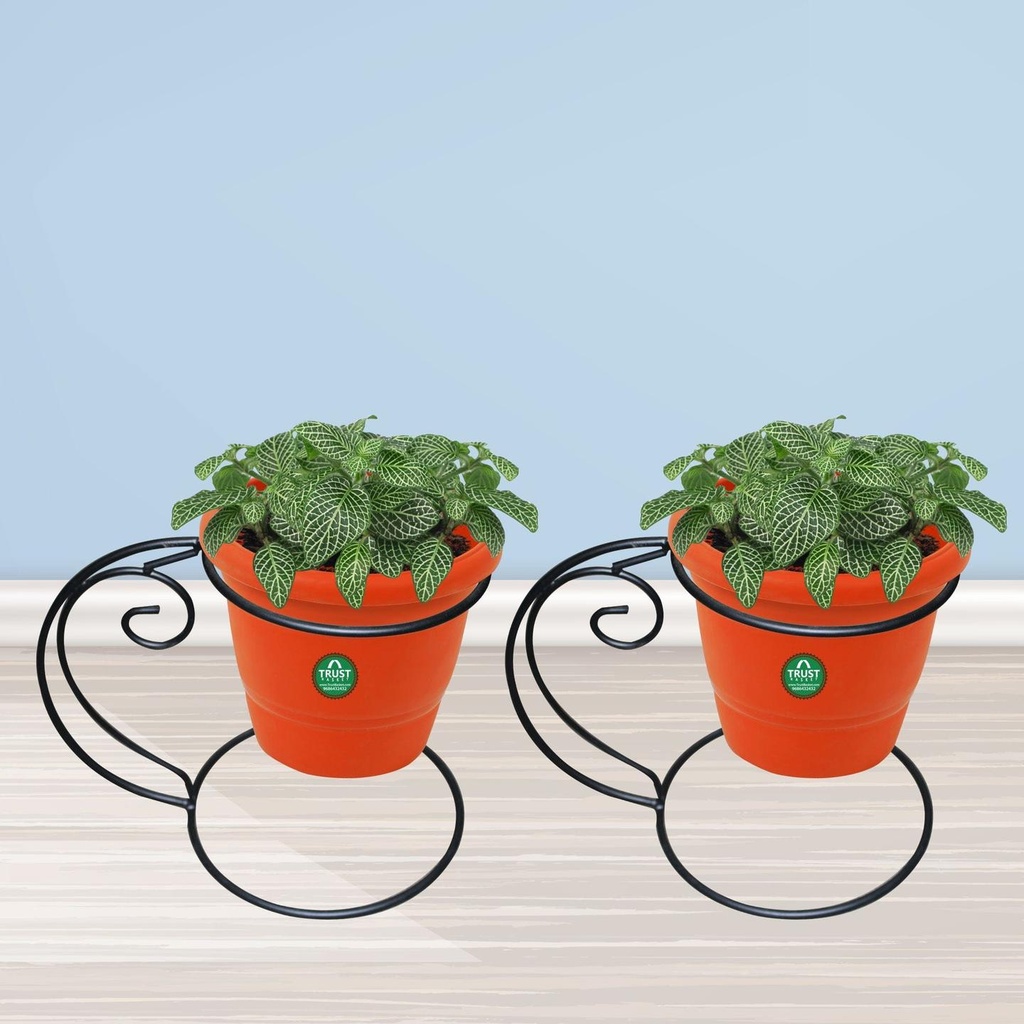 [T1877] TrustBasket Over head Planter Stand (Set of 2)