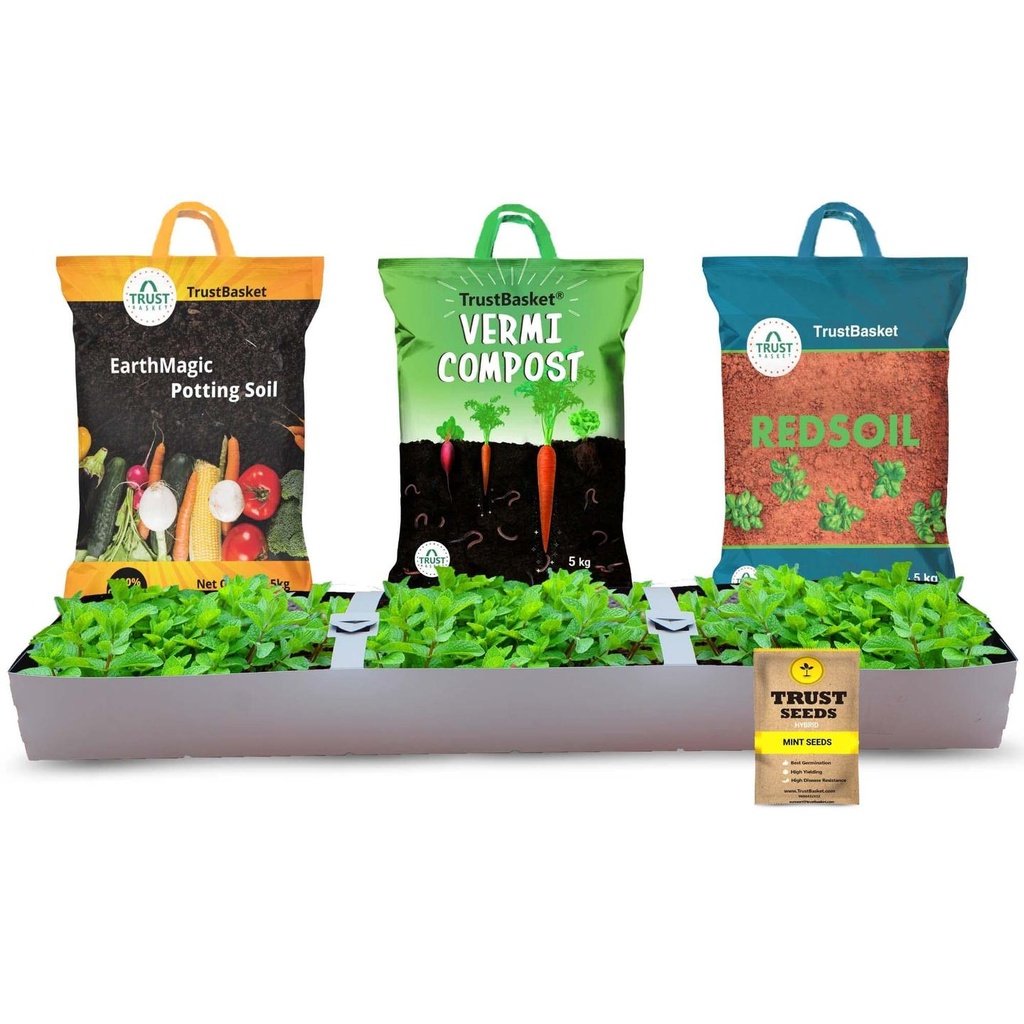 [T1717] TrustBasket Mint Grow Kit