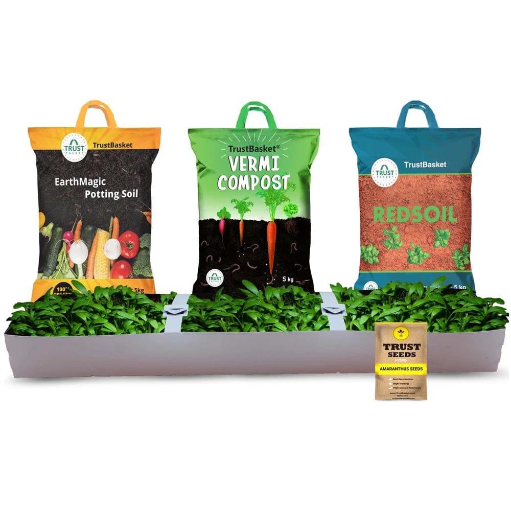 [T1716] TrustBasket Amaranthus Grow Kit