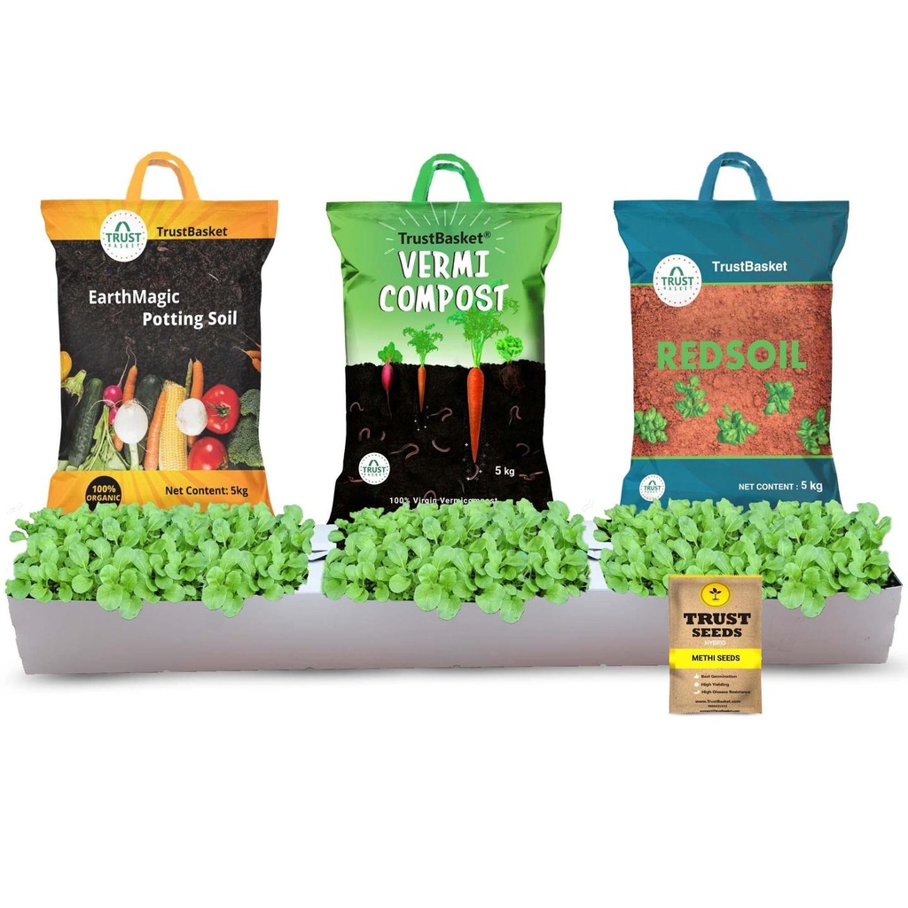 [T1714] TrustBasket Methi Grow KIt