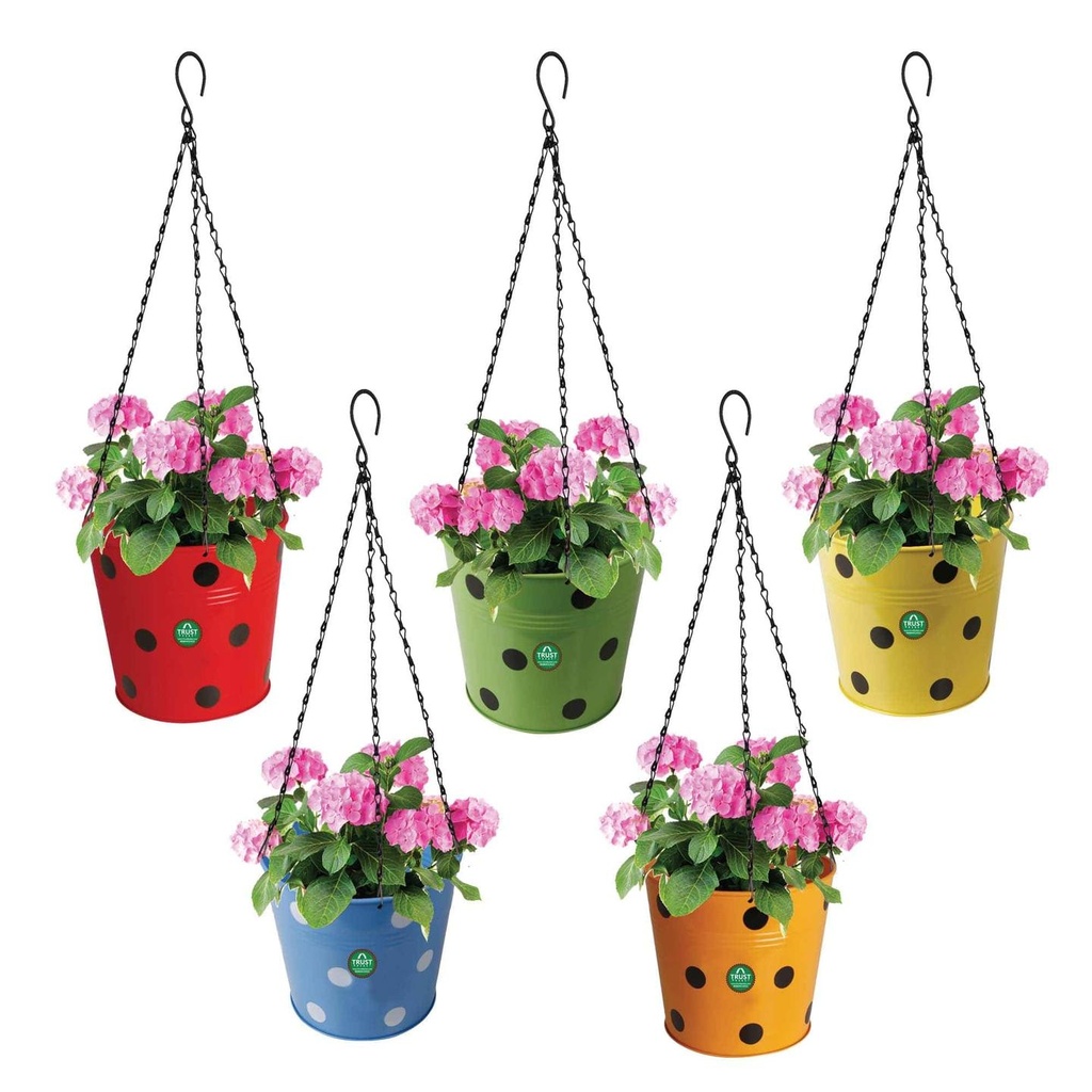[T1533] Dotted Round Hanging Basket - Set of 5 (Red, Yellow, Green, Orange, Blue)