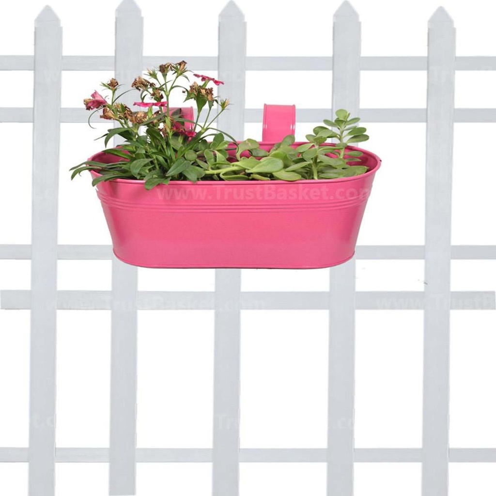[MT0010-53] Oval railing planter - Magenta