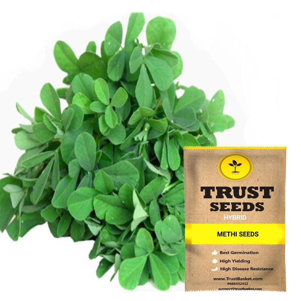 [SDHYGR5006] Methi seeds (Hybrid)