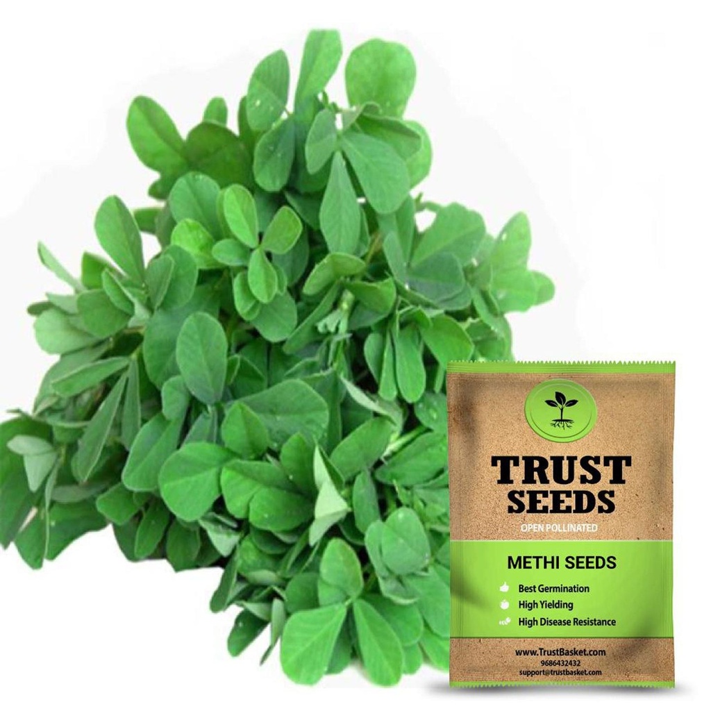 [SDOPGR2003] Methi seeds (Open Pollinated)