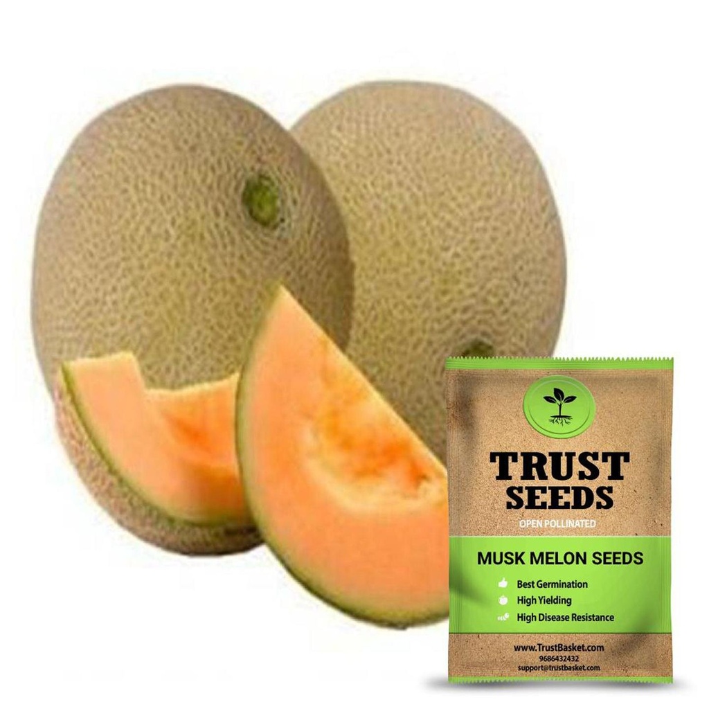 [SDOPGR2004] Musk melon seeds (Open Pollinated)