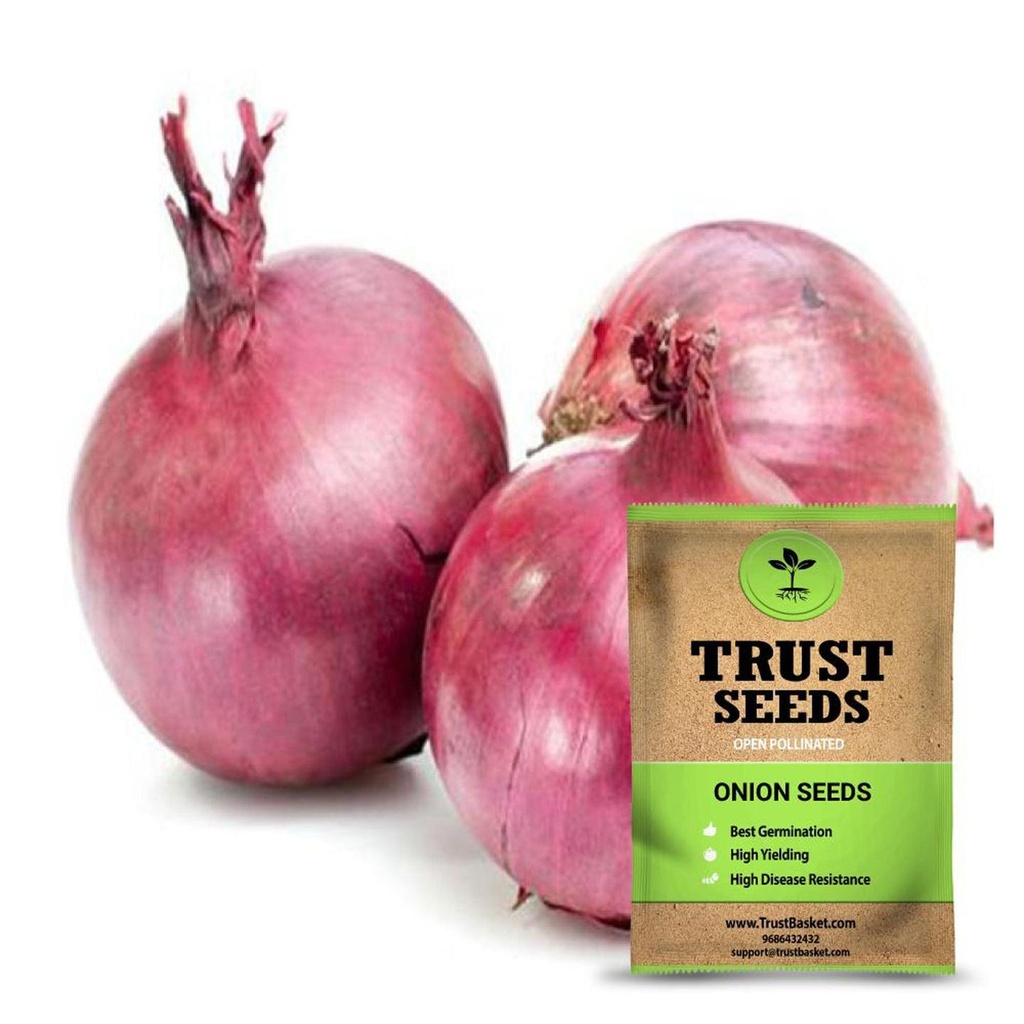[SDOPVG1032] Onion seeds (Open Pollinated)