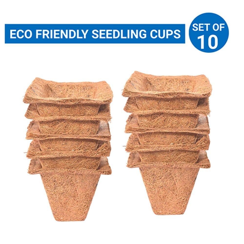 Coir Seedling Cups - 4 inches (Set of 10)