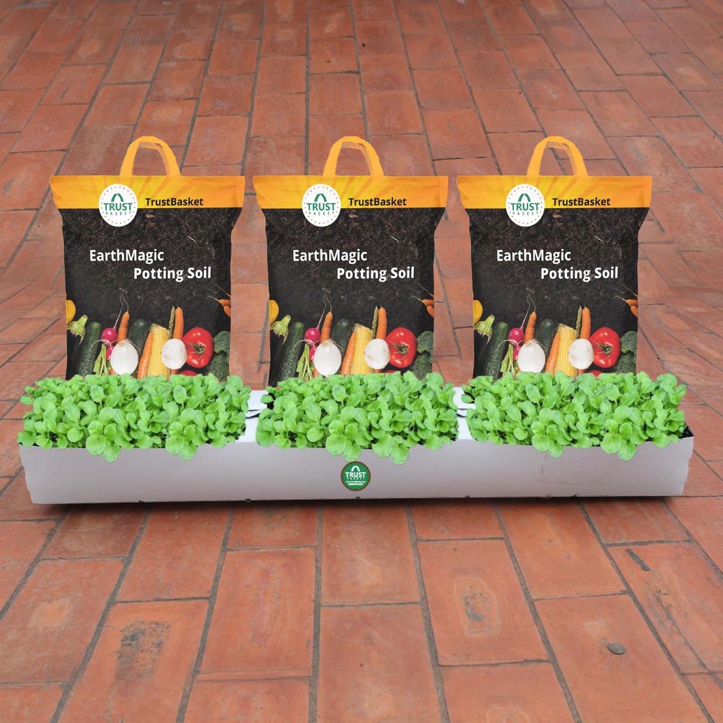 [T1140] TrustBasket Flexible Grow Container for Leafy Vegetable with Earth Magic Potting Soil Fertilizer (15 KG)