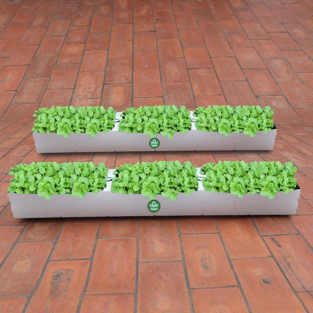 [T1141] TrustBasket Flexible Grow Container for Leafy Vegetable (Set of 2)