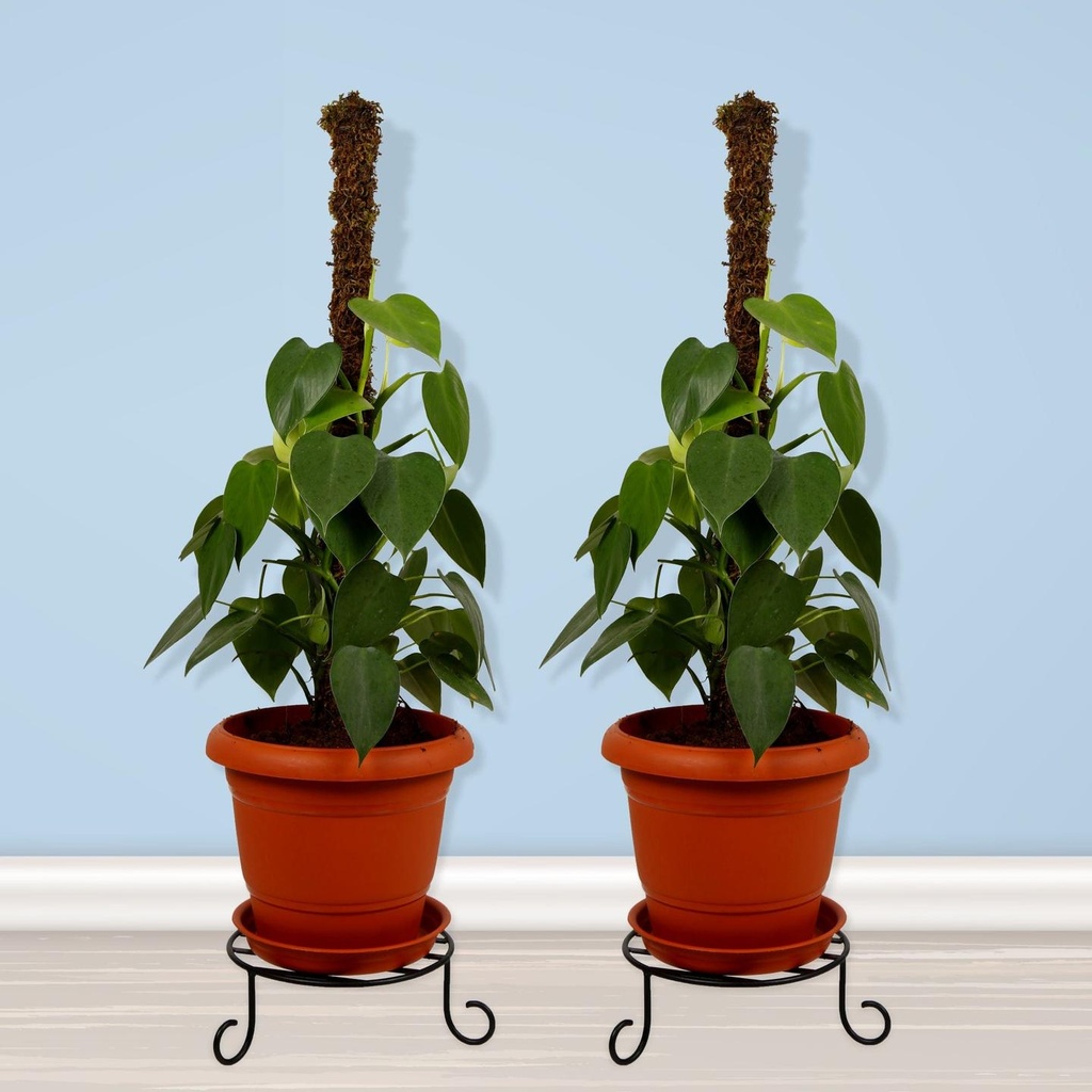 [TBSSS222] Premium Pot Stand for Plants (Set of 2)