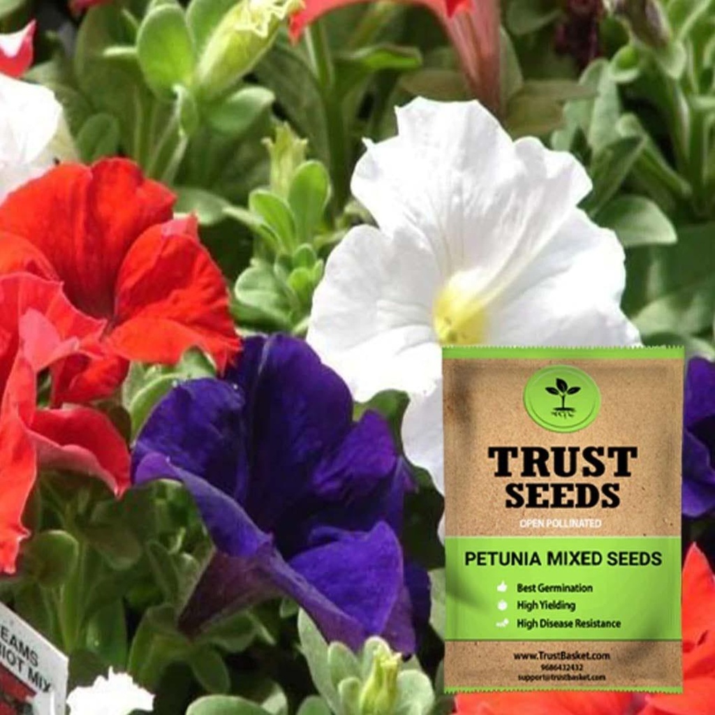 [SDOPFL1531] Petunia mixed seeds (OP)