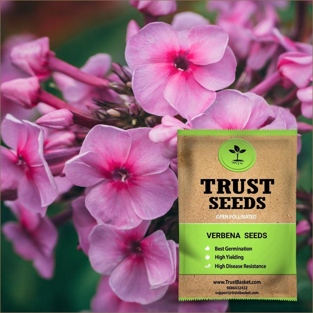 [TBSSS389] Verbena Seeds (OP)