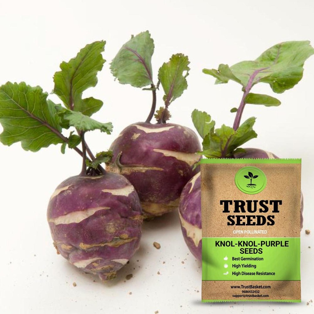 [TBSSS401] Knol Khol Purple Seeds (OP)